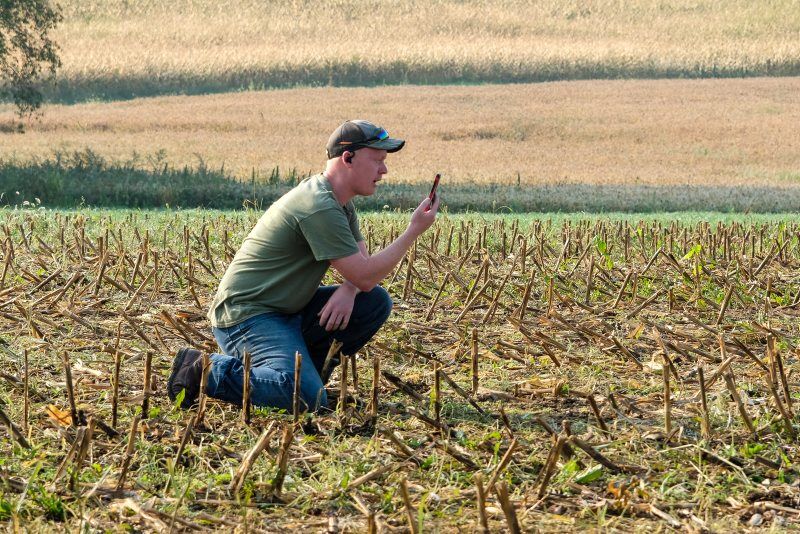 A1-Farmer-Friday-1.jpg